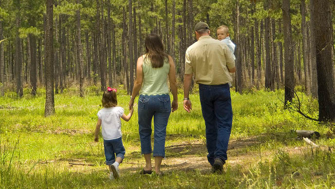 Family walking through a forest together