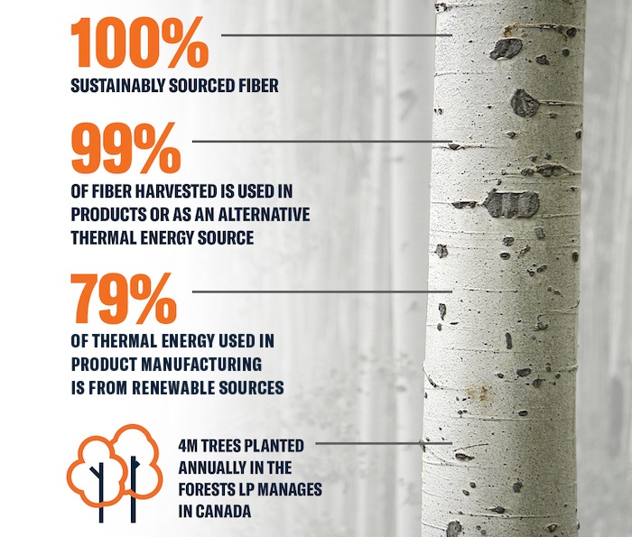 'Using the Whole Tree' graphic