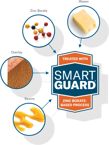 Infographic of SmartGaurd board